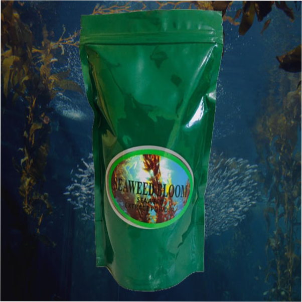 HARIHARATHMAJA INDUSTRIES+Seaweed Extract Powder