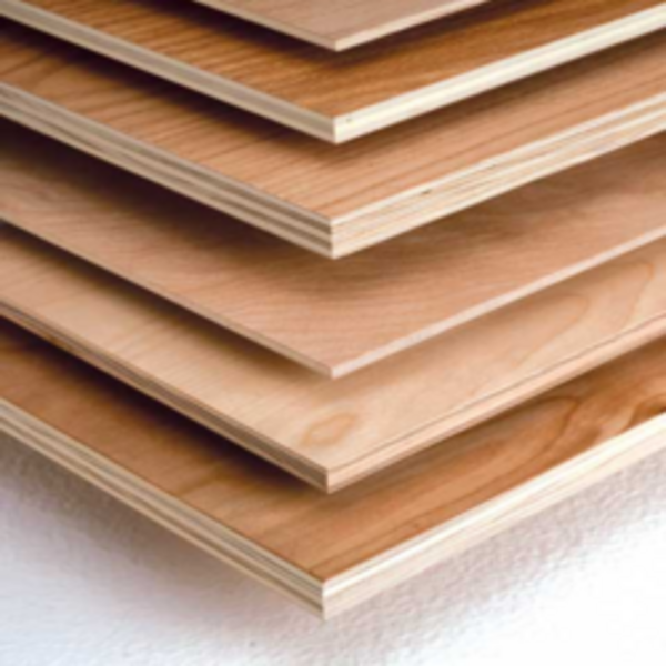 Century Plywoods+Plywood (Sherlon Majesty(BWP))